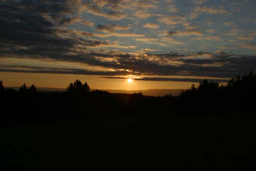 IMG_1039