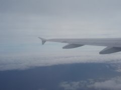 p3090539