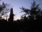 budapest_witschi_058