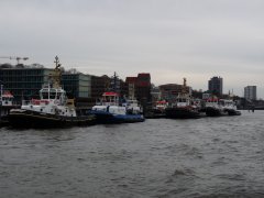 P1060974