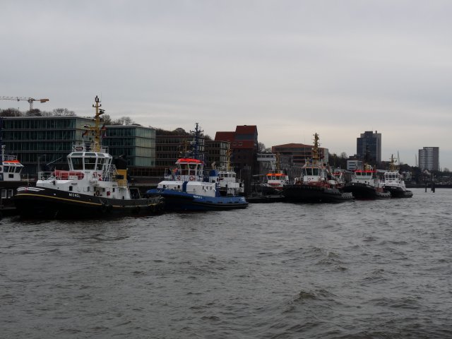 P1060974
