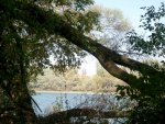 budapest_gwen_099
