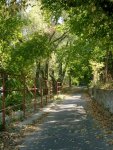 budapest_gwen_117