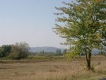 budapest_gwen_124