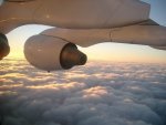 budapest_gwen_172