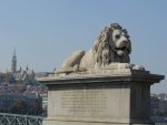 budapest_gafi_022