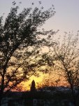 budapest_gafi_074