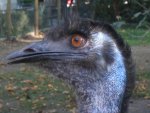 budapest_dominic_086