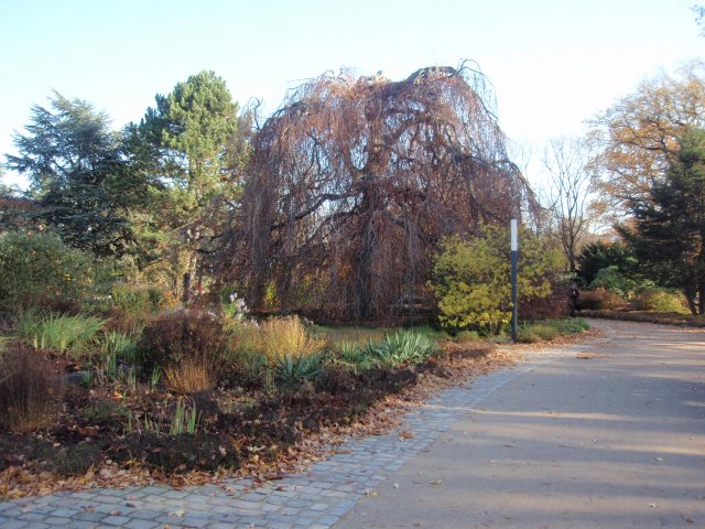 PB150467