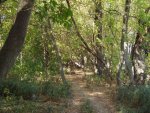 budapest_hauck_100