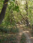 budapest_hauck_101
