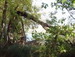 budapest_hauck_102