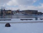 small_p3051451