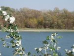 budapest_hauck_113