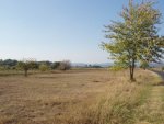 budapest_hauck_118