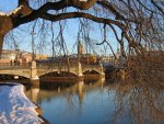 small_img_2317