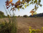budapest_hauck_120