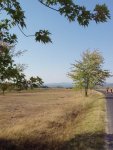 budapest_hauck_121