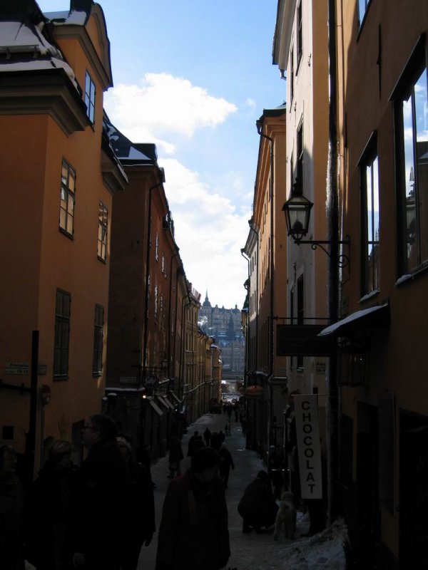 small_img_2386