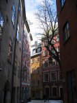 small_img_2390