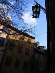 small_img_2393