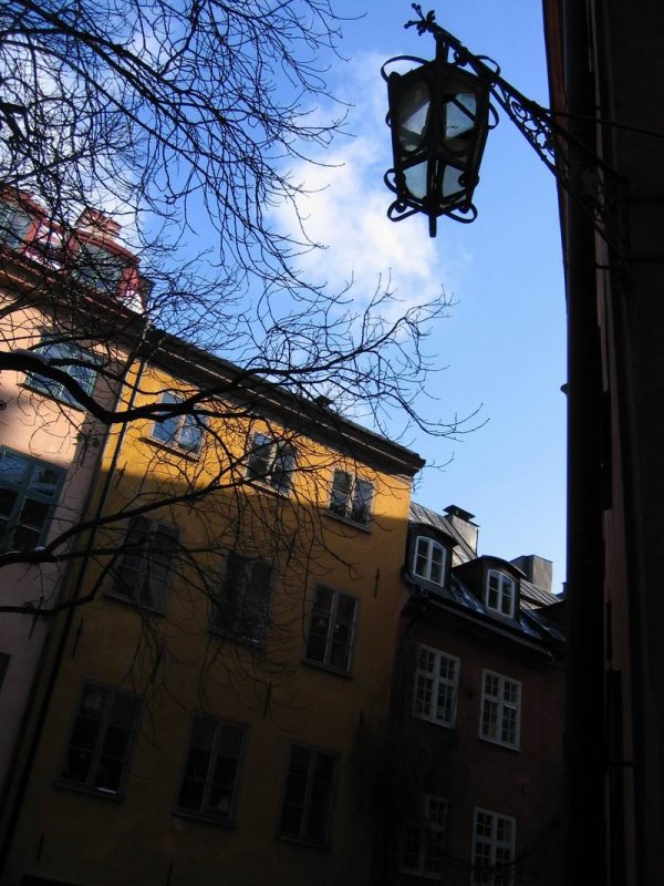 small_img_2393