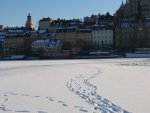 small_stc_2438