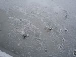 small_dsc00144
