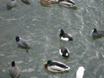small_dsc00207