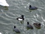 small_dsc00208