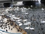 small_dsc00209