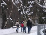 small_pict2526