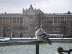small_pict2551