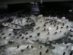 small_pict2553