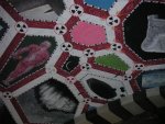 small_pict2562