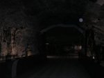 small_pict2563