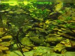 budapest_hauck_223