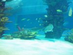 budapest_hauck_234