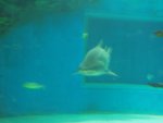 budapest_hauck_240