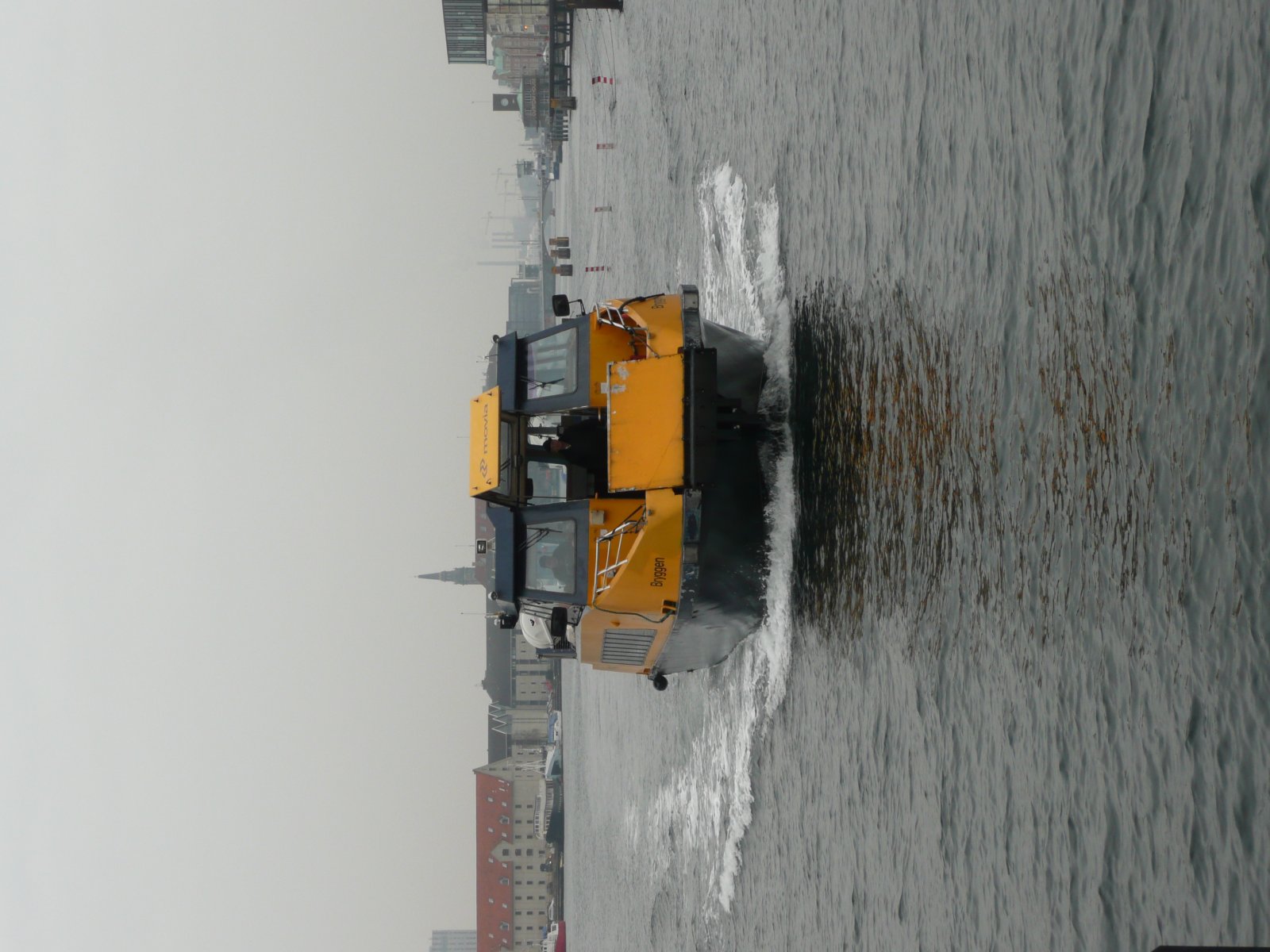 P1020389