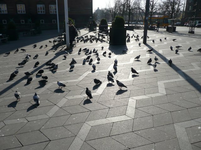P1020409