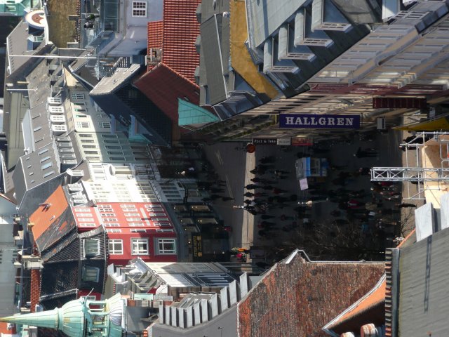 P1020448