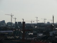 P1020453
