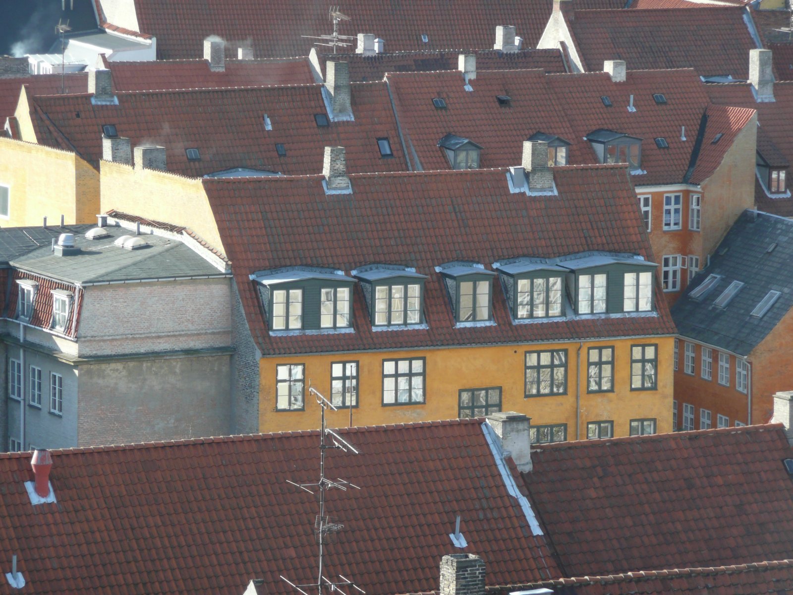 P1020455