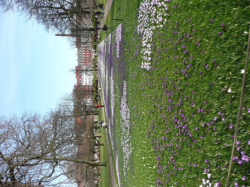 P1020461