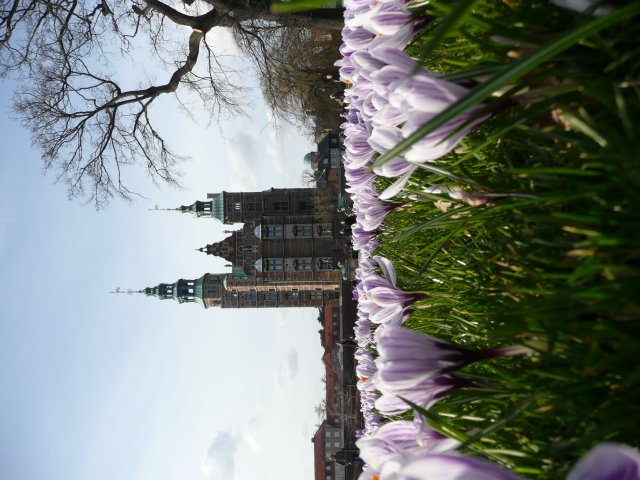 P1020463