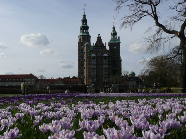 P1020465