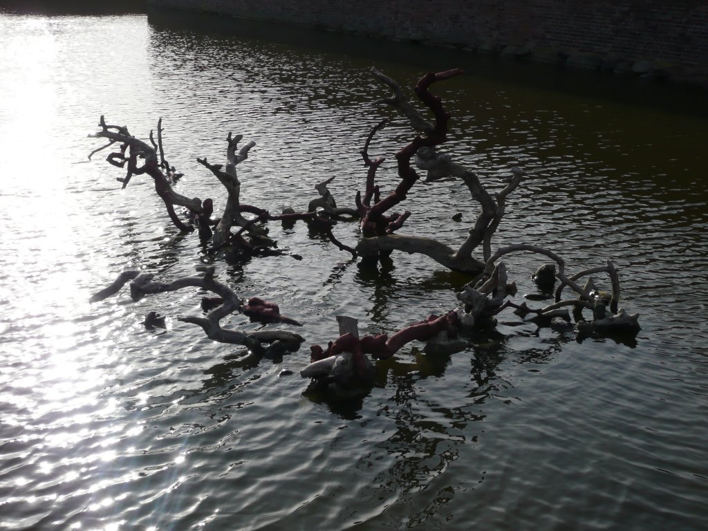P1020466