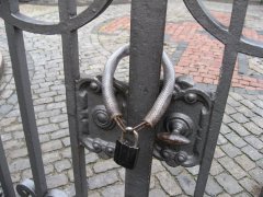 IMG_6870