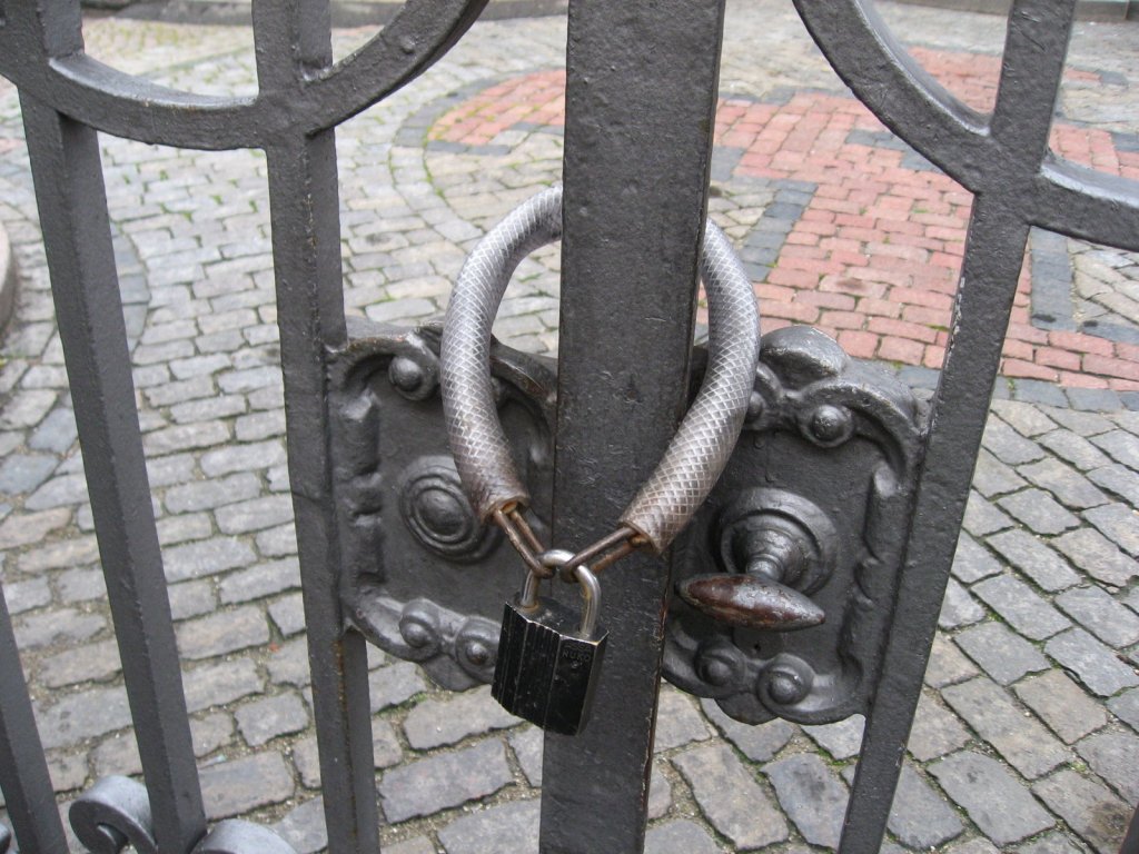 IMG_6870